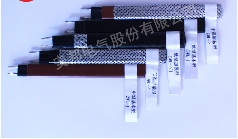 自限温金年会近照